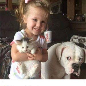 Meet your Posher, Gail